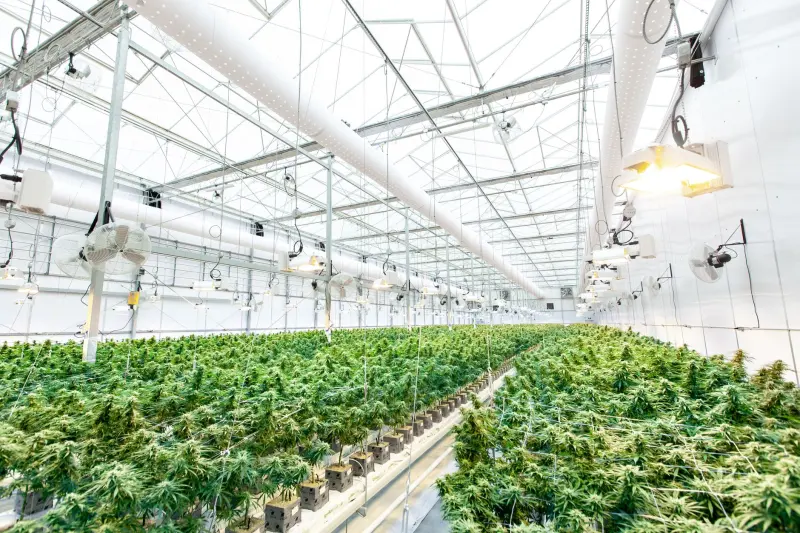 展览展示行业互动娱乐设备的新趋势与应用场景分析
