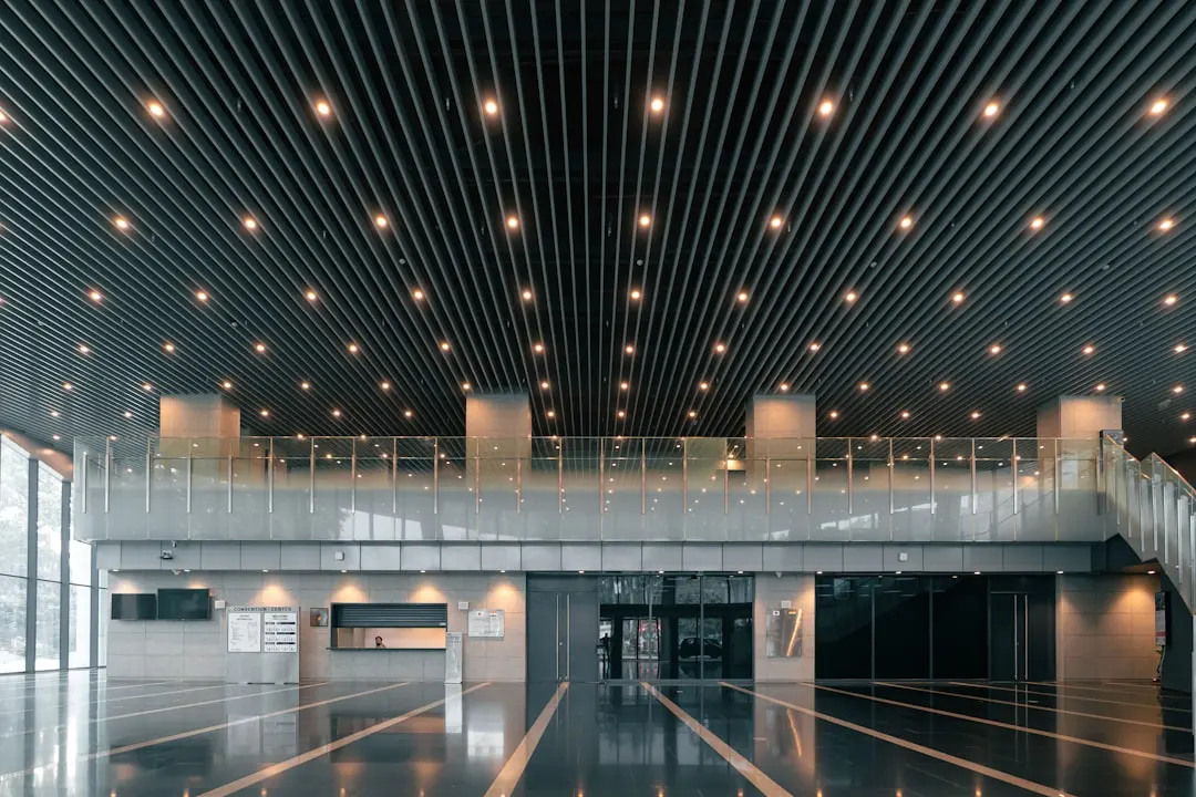 数字艺术展项在文旅游乐场景中的应用方案解析