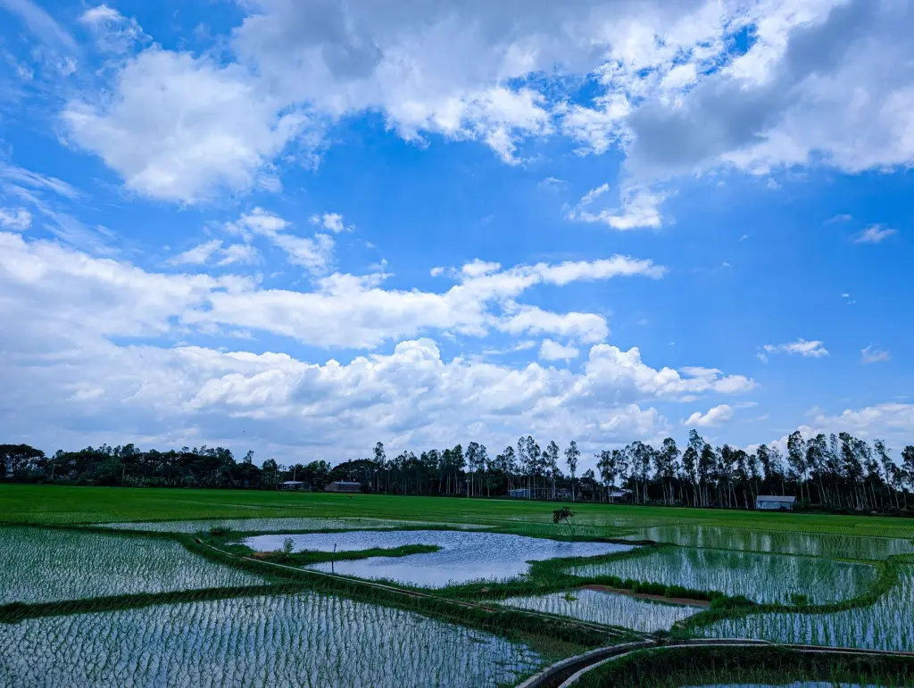 数字艺术展项定制方案：从概念设计到落地实施全流程